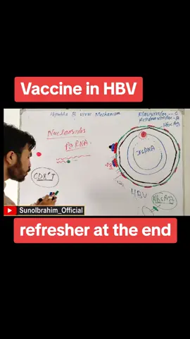 vaccine in HBV case #sunoibrahim_official #MolecularBiology #hepatitisb #foru #vaccine 