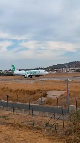 Transavia B737 rolling to runway 13 on Malaga Airport, for takeoff. #aviationphotography #planespotting #malaga #transavia #aviation 