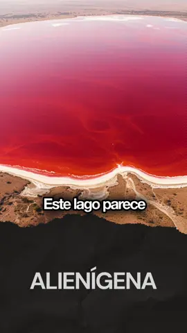 Você não vai acreditar que este lugar é real! 🤯 O Lago Natron, na Tanzânia, é tão alcalino que mumifica os animais que morrem em suas águas. A cor vermelha vem de microrganismos que amam o sal. A natureza é selvagem! #lagonatron #ciêncianotiktok #curiosidades #naturezaextrema #africa #aprendanotiktok