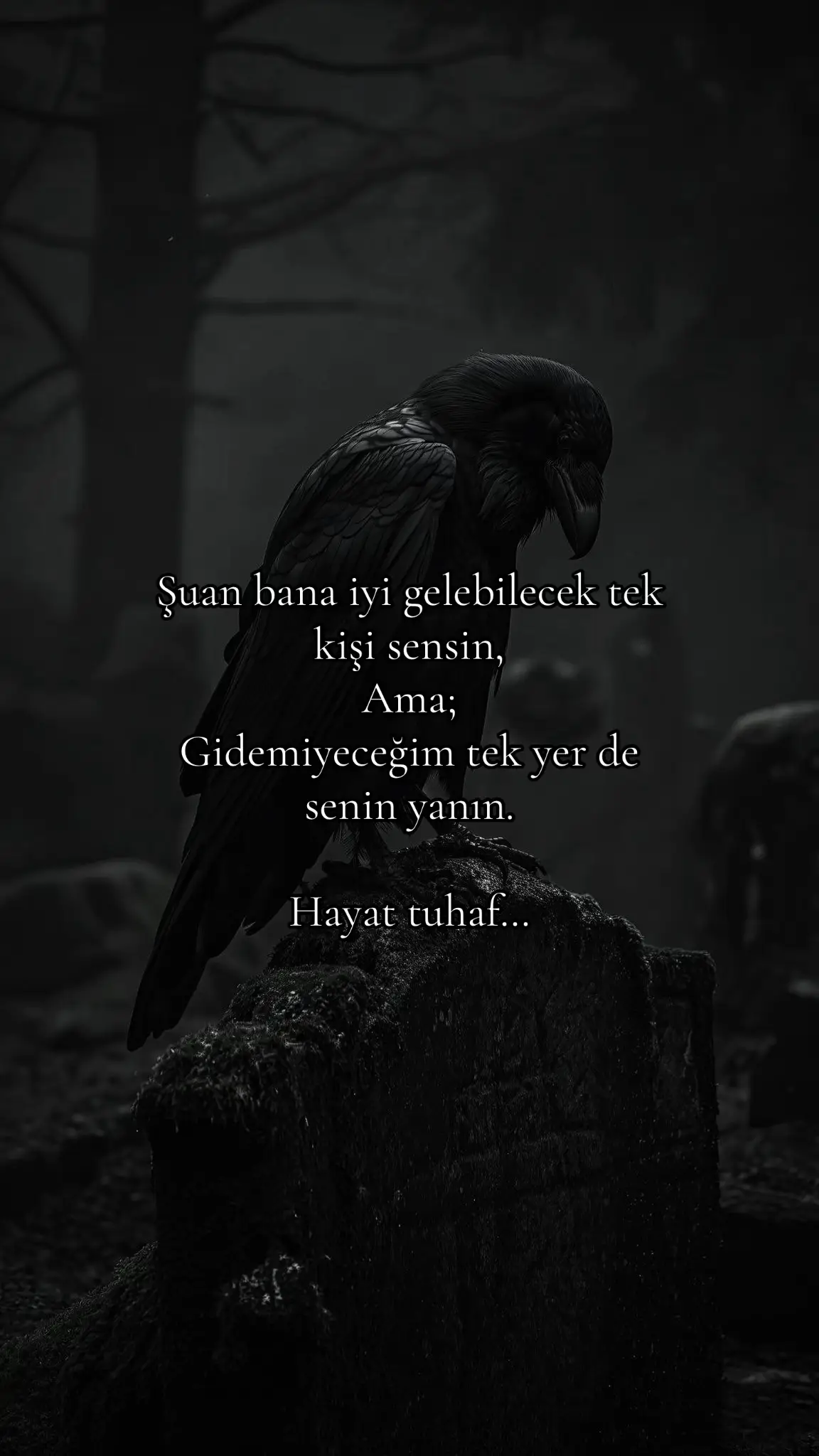 #aşk #gerçek #değil #keşfetbeniöneçıkart #trend #keşfet #pyf 
