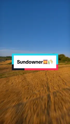 🌞🌾🌽 Sun at my back. Dove under the tree, low and clean. Freshly cut fields glowing gold. Then: a switch – deep green corn rows stretching wide. One line, two seasons. It just felt right. . . . . . . . . . . . #fpv #fpvdrone #dronevideo #fpvflow #cinematicfpv #sunsetflight #fpvfields #fpvreel #lowpass #dronefootage #cornfieldvibes #harvestseason #fpvshots #fpvtrees #smoothlines #naturedrone #visualescape