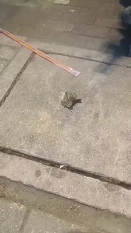 #fyp 