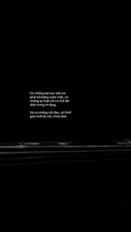 #llanie95 #fyp #tamtrang #lyrics 