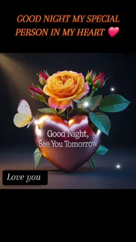 Good Night my special person in my heart ❤️ #iloveyou #couple #gdnight #JAMIE #foryourpages #fouryou #viralvideos 