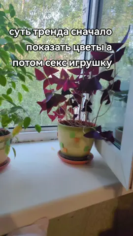 он такойсекси  #сексиСтолас #ясынВивьен 