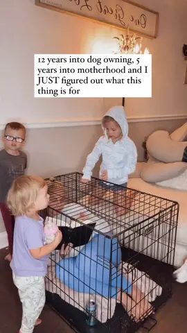 10/10 recommend this for a little staycation 🙃😬😅 Follow if you can relate 😅😅😅😅 #funnymom #momlife #momhumor #dogsofinstagram #funnymomreel #parenting IB: