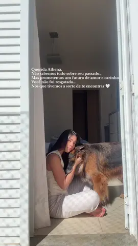 Athena chegou para trazer ainda mais amor 🤍 #adoçaodeanimais #dogsoftiktok #lovedogs 