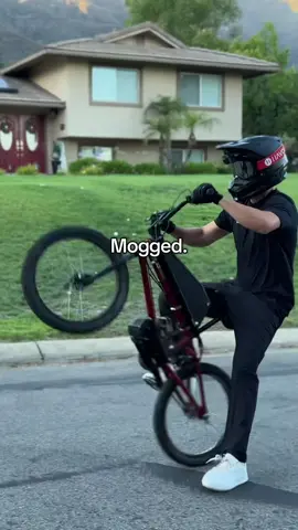 Stark Varg killer