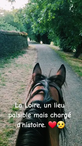 #juignesurloire #noyadejuignesurloire #loire  #baladecheval #equitation #equitationpassion #cheval #memoire #souvenir 