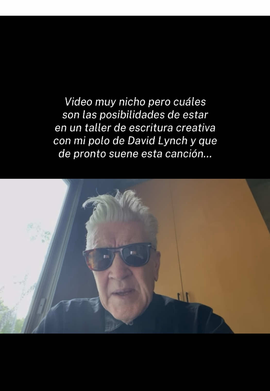 #davidlynch #mazzystar #davidlynchtok 