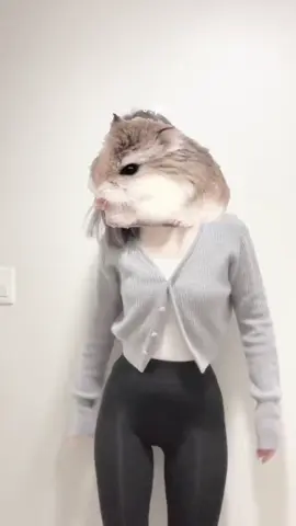 옥수수맛 해바라기씨