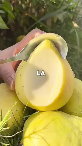 Sabías esto? Sígueme para más consejos de salud #frutas #comidas #comidassaludables #alimentos #salud #consejosdesalud 