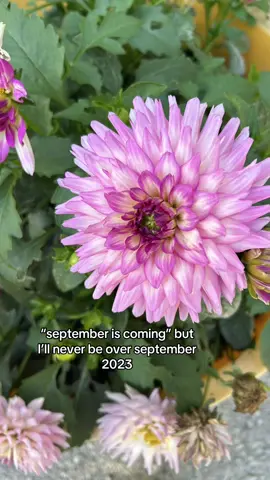 #fyp #msxnsa #fy #relatable #viral #trend #real #viraltiktok #september #2023 #foryoupage 