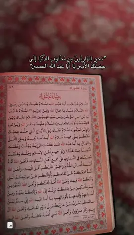 #زيارة_عاشوراء #البصرةكربلاء__بغداد_الحبيبه_الناصريه #CapCut #اكسبلور #محمد_باقر_الخاقاني #زيارة_الأربعين 