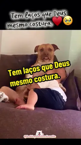 Tem cenas que nem precisam de explicação. Só sente. 🐾👶#cachorro #maedepet #cachorrosfofos #dogsoftiktok 