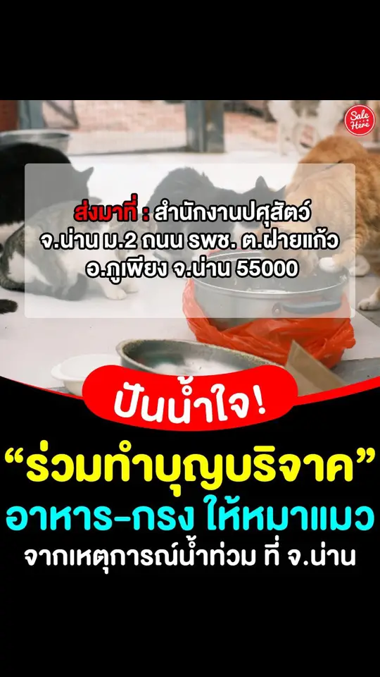 📣 ปันน้ำใจ! มูลนิธิวอชด็อก ไทยแลนด์ ประกาศขอรับบริจาค อาหารและกรง ให้น้องหมา น้องแมว ที่ได้รับการช่วยเหลือจากเหตุการณ์น้ำท่วม ที่ จ.น่าน 🐶🐱 ตอนนี้น้ำท่วมสูงและหนักมาก นอกจากคนจะได้รับผลกระทบกันแล้ว สัตว์ตัวเล็กๆ ก็ไม่แพ้กัน มาช่วยเหลือเพื่อนร่วมโลกเรากันนะทุกคน  . 📮 ส่งมาที่ : สำนักงานปศุสัตว์ จ.น่าน ม.2 ถนน รพช. ต.ฝายแก้ว  อ.ภูเพียง จ.น่าน 55000 . #SaleHere #เซลเฮียร์ #บริจาค #น้ำท่วม #น่าน 