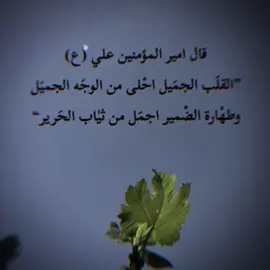 #CapCut #اقول_وحكم_الامام_علي #الشعيه_علي_الكرار #الشعيه_الامام_علي_بقيه #علي_بن_ابي_طالب #قائد #تصميم_فيديوهات🎶🎤🎬 #اكسبلوررر #مشاهير_تيك_توك #اهل_البيت_عليهم_سلام #ابومهدي_المهندس_قائد_النصر 