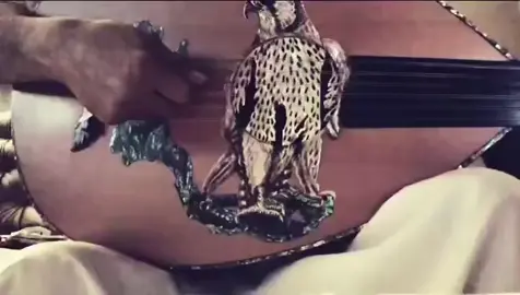 #رابحيات🦅❤️🎼🎵 