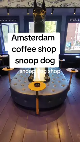 visite du coffee shop de snoop dog a AMSTERDAM. #vacances #amsterdam #pourtoi #été #voyage 