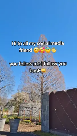 As long i see you follow me immediately I follow you back bestie😊😇 #tiktoktrend  #blowthisup  #creatorsearchinsights  #girlsupportinggirls  #fyppppppppppppppppppppppp 