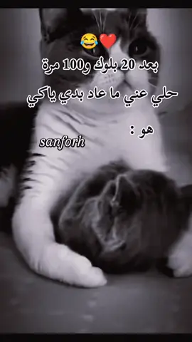 #في هذا اليوم #منشن #منشن_للي_تحبه #الشعب_الصيني_ماله_حل😂😂 #foryoupageofficiall #viralvideo #اكسبلورexplore 
