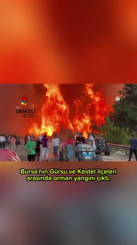 ⚠️ Ormanlar bizim nefesimizdir. Lütfen duyarsız kalmayalım! 📢 Gelişmeleri takip edin, paylaşarak farkındalık oluşturun. Bursa’nın Gürsu ve Kestel ilçeleri arasında yer alan ormanlık alanda henüz belirlenemeyen bir nedenle orman yangını çıktı. Alevler rüzgarın etkisiyle kısa sürede büyüdü. Olay yerine çok sayıda itfaiye ekibi, orman işçileri, helikopterler ve jandarma timleri sevk edildi. Yangının yerleşim yerlerine sıçramaması için yoğun çaba sarf ediliyor. Yangının çıkış sebebiyle ilgili inceleme başlatıldı. . #BursaYangın #Gürsu #Kestel #OrmanYangını #BursaGündem #BursaSonDakika #YeşilBursa #OrmanlarYanıyor #TürkiyeYanıyor #Bursaİtfaiye #OrmanVatandır #DoğayıKoru #YangınHaber #GürsuYangın #KestelYangın #OrmanSevgisi #DoğalHayat #AfetDurumu #BirlikVakti #sessizkalmayın 