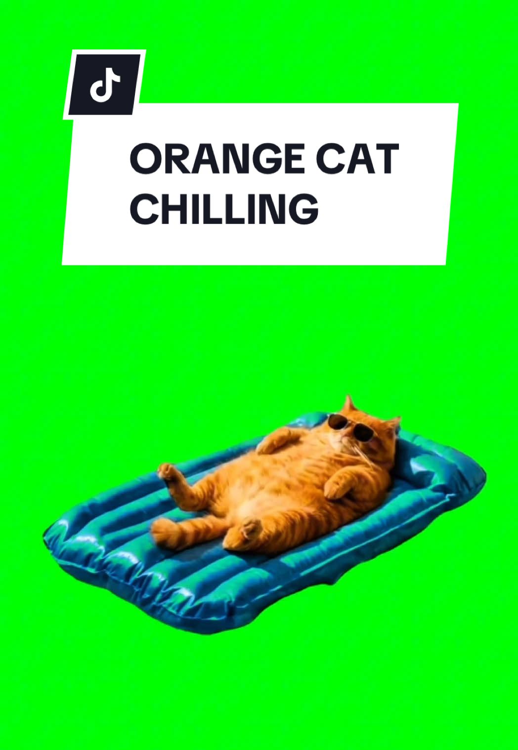 #CapCut ORANGE CAT CHILLING #greenscreen #greenscreenvideo #greenscreenoverlays #fyp #fyppage #fypシ❤️💞❤️ #meme #memes #memestagram #freefirememe #memepage #viral #viralvideos #viralreels #viralvideo #viralpost  #cat #cats #catsofinstagram #catlover #catmemes #catmeme #trend #orangecatchilling 