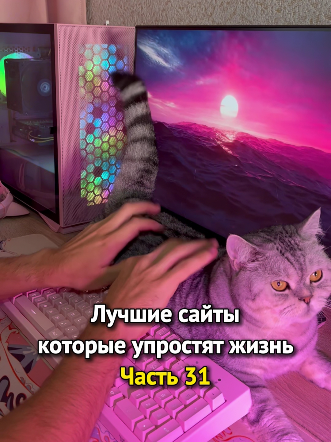 Больше полезного в тгк: simplify_ai #ai #анимация #нейросети #монтаж #аниматор #foryou