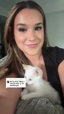 Replying to @Alina  sorry I ramble on a lot, but I hope this answers some of your questions. I I want to thank everyone for their concern and their kind words I’m so glad everyone loves him as much as I do💕 #fyp ##kittenrescue##update##catdistributionsystem