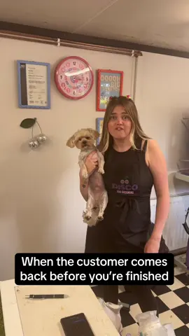 3 minutes makes all the difference!  😂⏰ #discodoggrooming #fyp #trending #viral #humour #doggroomer #doggroom #doggrooming 