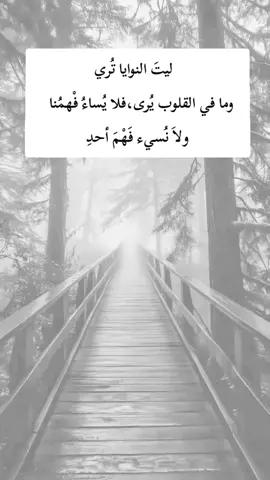 #اكسبلور 