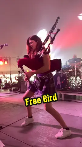 It’s silly but I LOVE performing this one  #bagpipes #bagpiper #allythepiper #piperally #freebird 