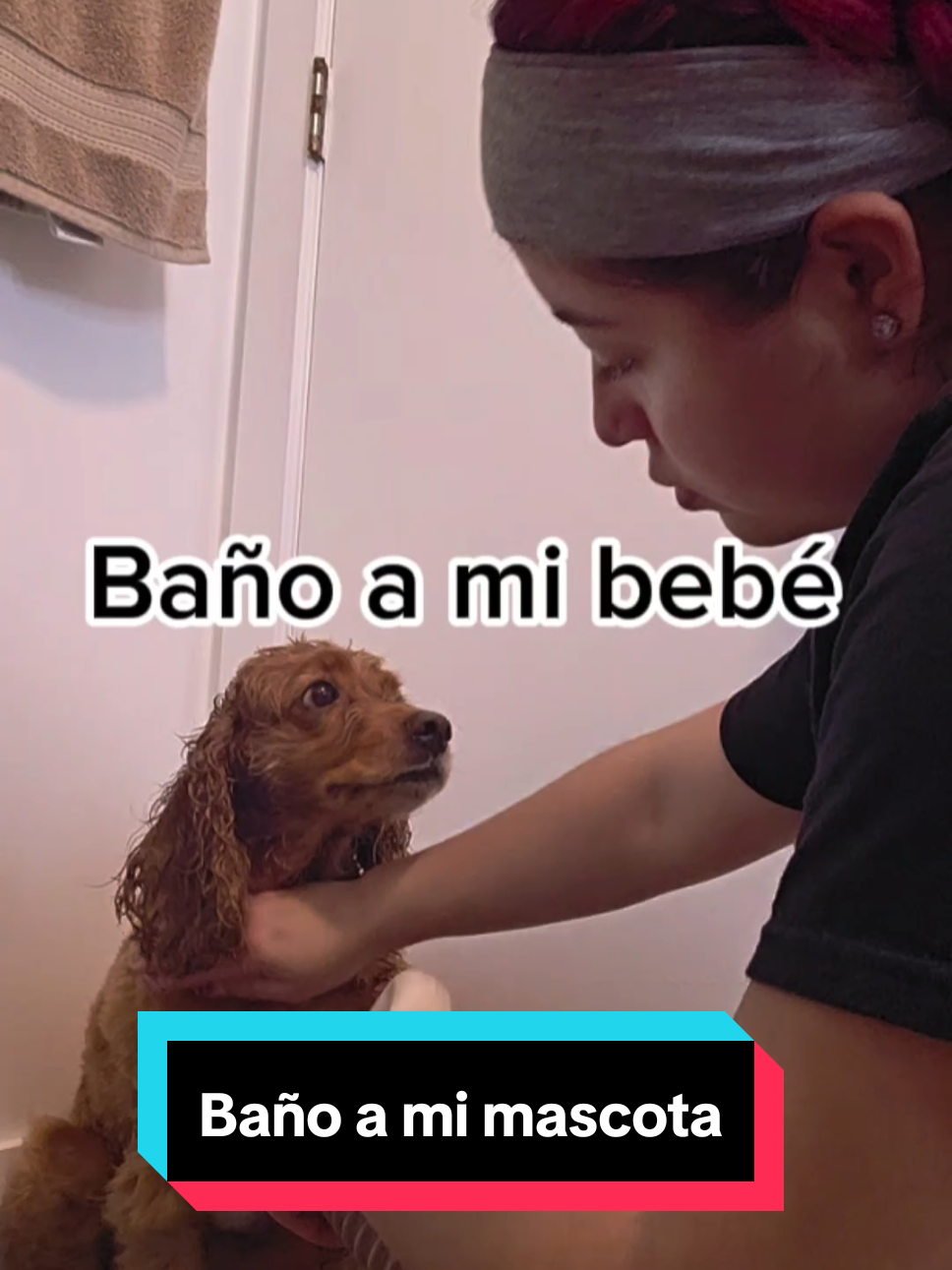 Baño a mi mascota ❤️ véanlo hasta el final🐶❤️ #bañoamiperrita #cockerspaniel #perrita #mascotas #sasha 
