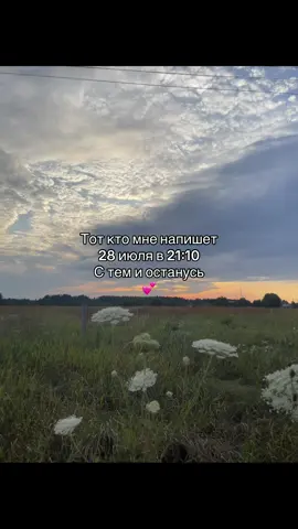 #рекомендации #рек 
