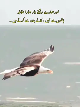 #foryoupage #fyyp #unfrezmyaccount #growmyaccount #viralvideo 