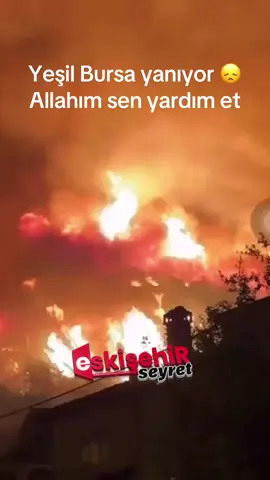 📍Bursa’da Gürsu ve Kestel arasındaki ormanlık alanda yangın çıktı Yangın, rüzgarın etkisi ile hızla büyüdü, yangına yakın olan yerleşim yerlerinde  tahliye başladı #Bursa #gürsu #kestel #ormanyangını 