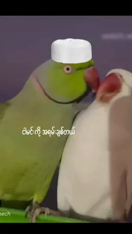 Astaqfirullah 😂 #အားပေးကြပါအုံးဗျာ😍😍😍😍 #ti̇ktok #tiktokmyanmar #foryou #saiyaara #trending #funny 
