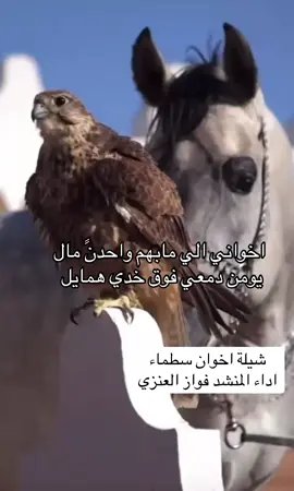 #اكسبلووووورررر #اكسبلور #@المنشد/ فــواز العنزي🇸🇦 