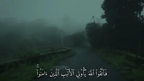 فَٱتَّقُواْ ٱللَّهَ يَٰٓأُوْلِي ٱلۡأَلۡبَٰبِ ٱلَّذِينَ ءَامَنُواْۚ (سورة الطلاق) #القارئ#ماهرالمعيقلي#قران#quran  #اكتب_شي_توجر_عليه  #سبحان_الله_وبحمده_سبحان_الله_العظيم  #اللهم_صل_وسلم_على_نبينا_محمد  #استغفرالله 