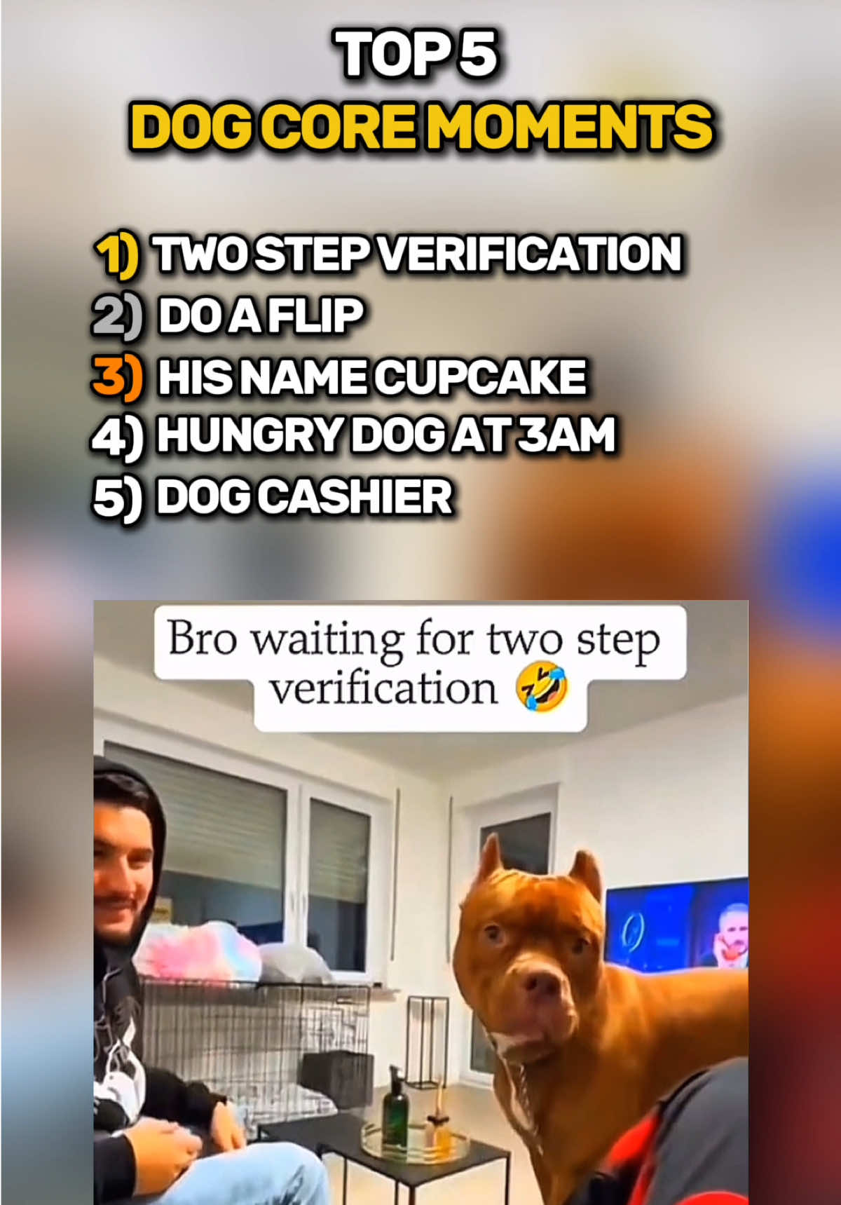 Top 5 dog core moments 😂😂😂 #fyp #top5 #funny #pets #animal #dog #foryou 