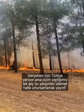 Yaşadığım şehir olmak üzere Maraş! Bursa İzmir Antalya Karabük heryer yanıyor bu ülkenin umursamamazlığı mı desem ilgisizliği mi desem bilemedim yaşadığım şehir bile yanıyor tüm yangın  olan şehirler zor durumda yangın yükseliyor sizler ise umursamıyorsunuz bunu yayın yaymasanız bile dua edin hayvanlar bile masum hayvanlar bile o!uyor anlatırken bile içim acıyor bunları yayın!!! #skz #ranaskzvers #leeminho #minho #leeknow #woojinanti #blimy_chocolate #sadd_97 #yağızaaşığımdiyincekeşfetoluyomuş #kdrama #keşfet #yangın 