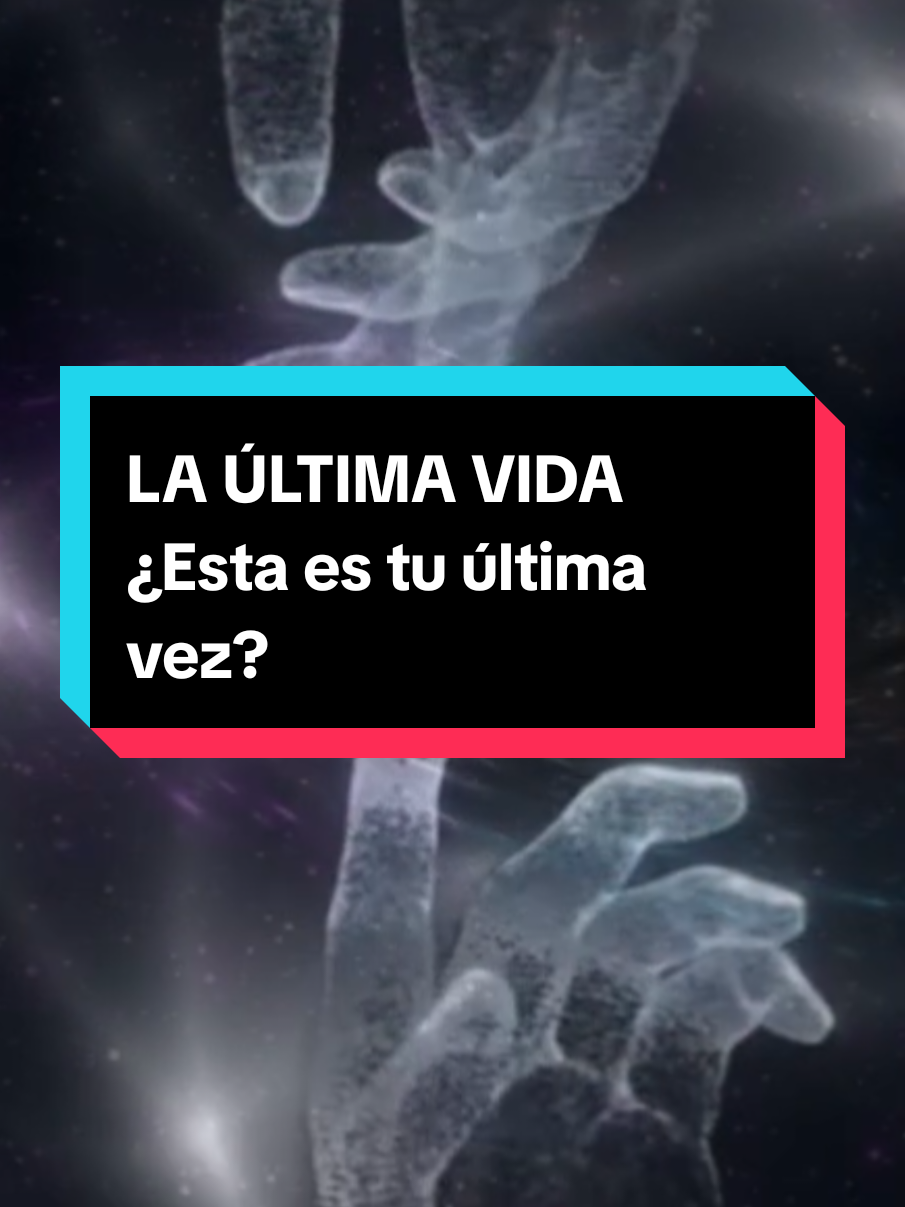 La última vida. ¿Sientes si ésta es tu última vez? Te leo en comentarios.  Algunas Almas ya no vienen a aprender, vienen a cerrar, a completar un ciclo que llevó muchas vidas. Cuando el Alma ha sanado sus heridas, liberado sus karmas y recordado quién es ya no necesita volver. No hay más lecciones que aprender, no hay más deudas que pagar, pero hay almas que deciden volver. #despertarespiritual #alma #espiritualidad #ultimavez #sanarheridas #cerrarciclos #spirituality 