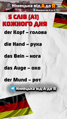 TG & YT: Німецька від А до Я  #німецькавідАдоЯ #німецьказнуля #німецька #вивченнянімецької #deutsch #5слівнадень 