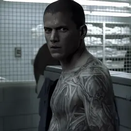 Séries que todo homem já assistiu. #prisonbreak #lacasadepapel #princesinhasofia #breakingbad #series #netflix #disney 