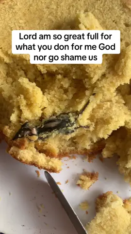 Rat was fund inside of cake #goviral #tiko#fyp 