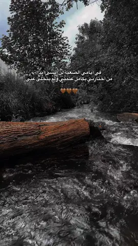 #تصميم_فيديوهات🎶🎤🎬 #عطوني_رايكن_بالفيديو🥺🖤🧸 