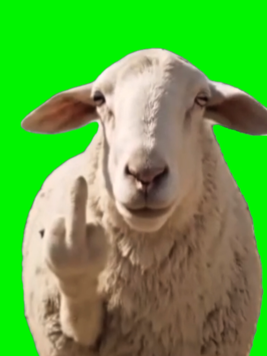 This animated sheep struts up all calm—then hits you with the finger while *Soul Survivor* plays in the back. The contrast? Comedy gold. Perfect for those “me vs the world” or “when you've had enough” moments. #SoulSurvivorMeme #AnimatedSheep #CapCutTrend #UnbotheredEnergy #MemeTemplate