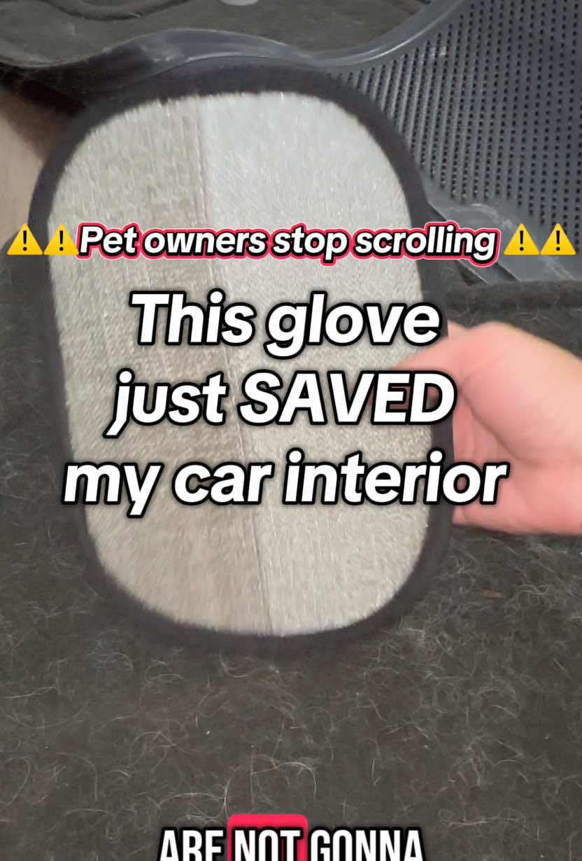 Y’ALL. This glove just erased YEARS of dog hair from my car carpets 😱🔥 Why didn’t I try this sooner?! #GameChanger #DogMomHack #HairRemovalGlove #CarCleaningHack #PetHairBeGone #TikTokMadeMeBuyIt #CleanCarVibes