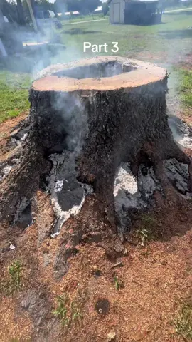 Part 4 of the 120 year old tree stump burning. #america ###cleanup #fire #fogo #florida #backyard #DIY #stump 