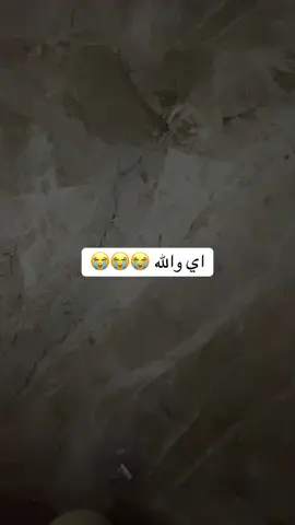 #متابعه_ولايك_واكسبلور_فضلا_ليس_امر #الشعب_الصيني_ماله_حل😂😂😂 #متابعه_ولايك_واكسبلور_فضلا_ليس_امر #محضور_من_الاكسبلور_والمشاهدات 